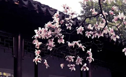 哪天出生的人貴人命 做事坦盪能得貴人