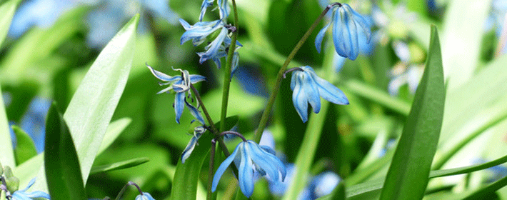 辦公室有哪十大風水講究?