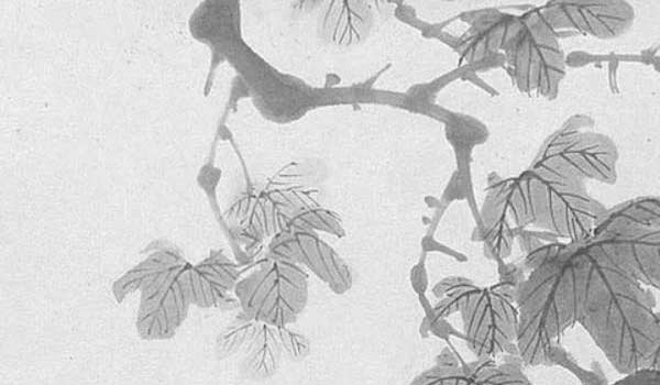 客廳沙發應該朝哪邊