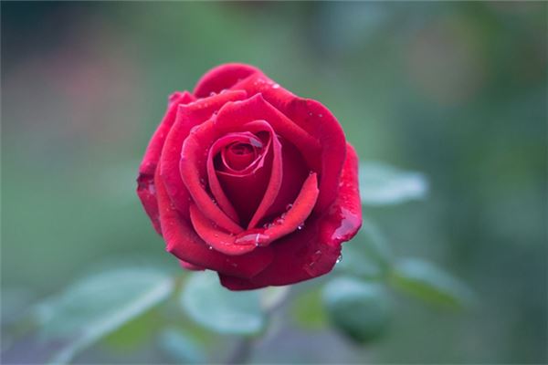 2013年五黃煞如何化解