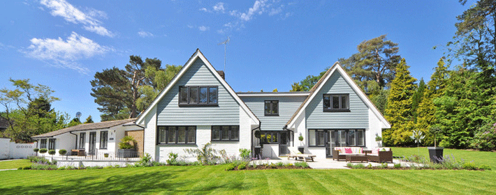 辦公桌上植物擺放風水知識