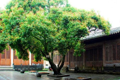 什麼人才能占風水寶地 什麼是風水寶地