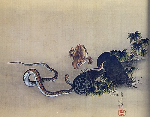 有蛇出沒的地方風水極佳 家裡出現了蛇的寓意