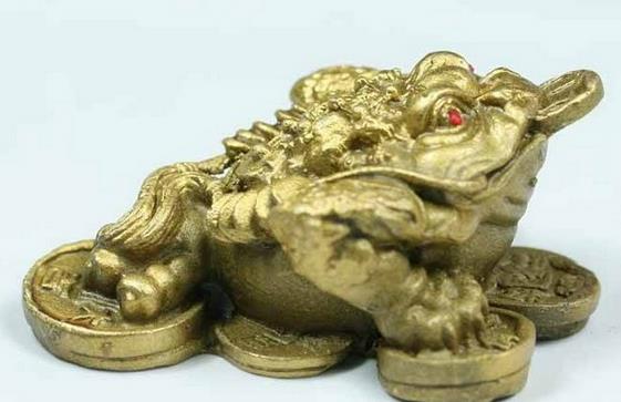 家中金蟾的擺設風水