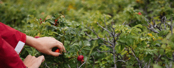 注意!床頭朝向風水一旦擺錯,住一天窮一天