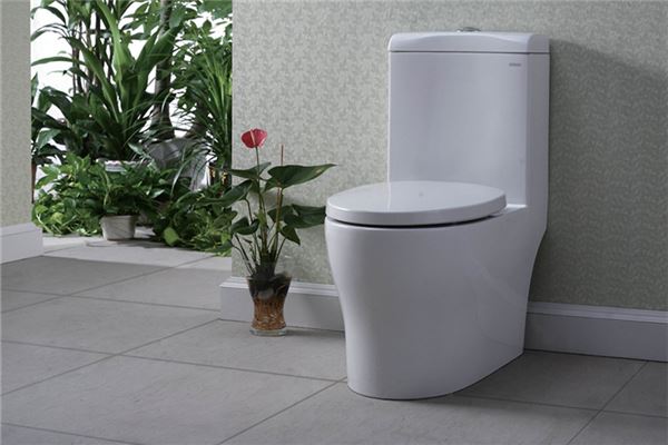 衛生間馬桶風水