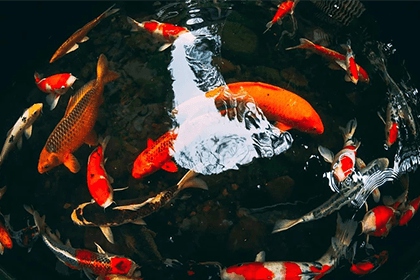 失手打碎碗有什麼預兆 財運下降運勢變差