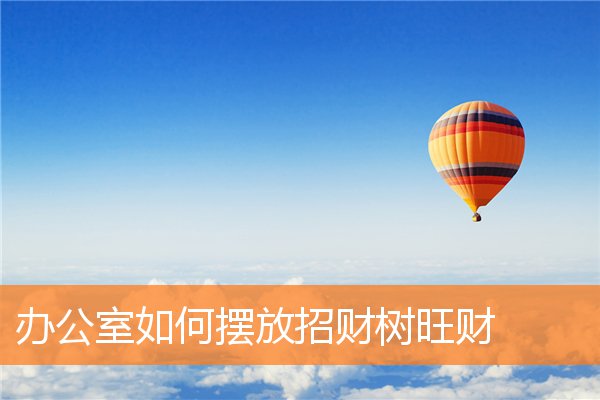 辦公室如何擺放招財樹旺財