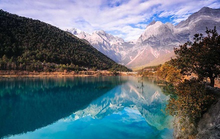 銅豬在風水中的作用?銅豬風水擺放禁忌?