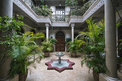 門前不能種的五種樹有哪些 門前種樹的注意事項