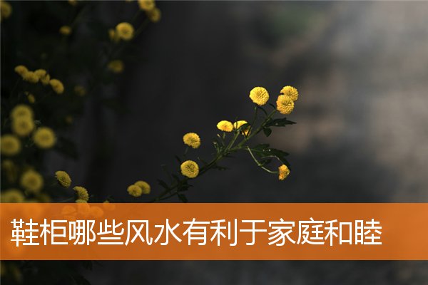 鞋櫃哪些風水有利於家庭和睦