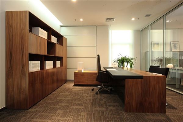 屬豬人辦公室風水布局長什麼樣子?