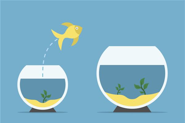 辦公室魚缸擺放風水講究說法