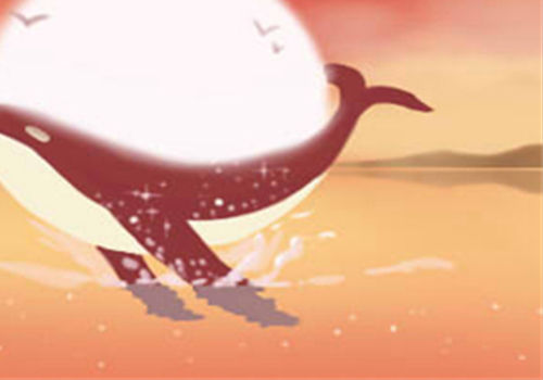 招財貓擺放位置有哪些忌諱?