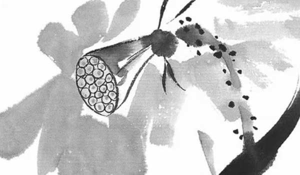 樓房西戶風水最旺 物以稀為貴西戶旺財氣