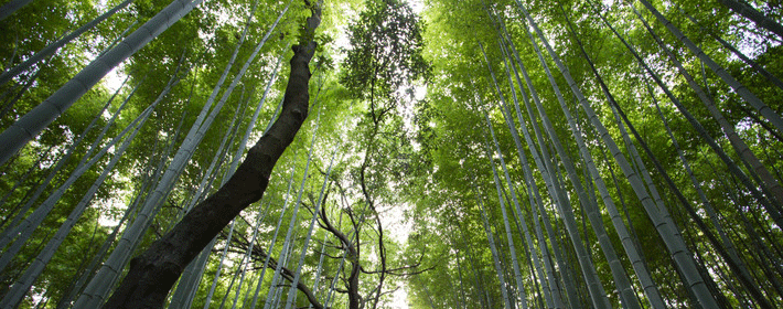 卧室風水布局與愛情緊密相關嗎