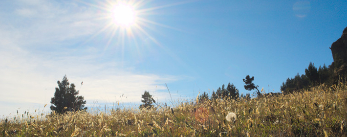 無小事,別被無知毀了錢途事業