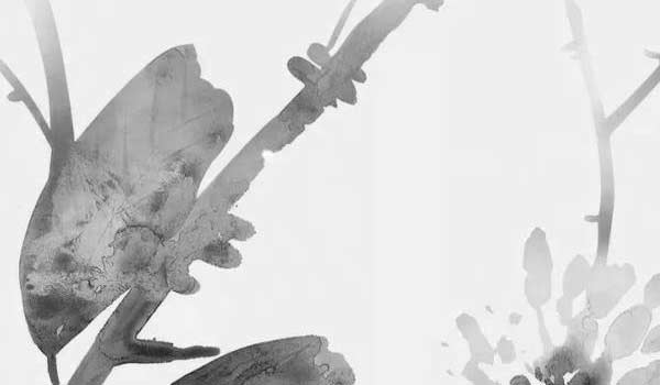 進門見沙發是大忌