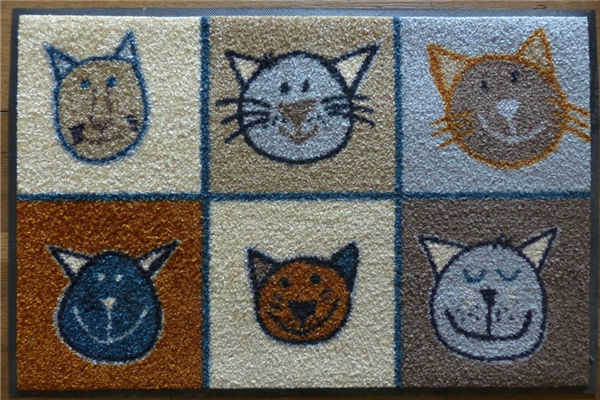 入戶門地墊顏色與風水