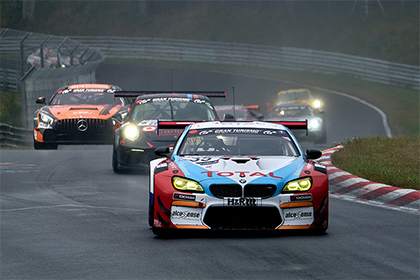 為什麼開車忌諱撞動物 該怎麼解決