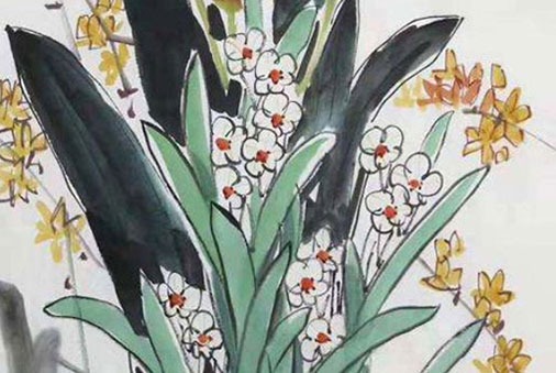 各地區車牌號是按什麼來劃分 最佳旺財車牌號碼