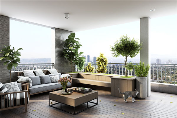 陽颱風水植物養什麼最好