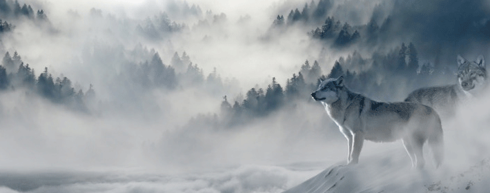 2017屬雞的人最佳辦公室風水布局