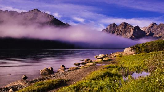 龍畫能掛在家裡嗎？掛在哪比較好？