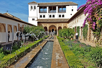 牛年別人家的貓不請自來兆頭如何 牛年注意事項