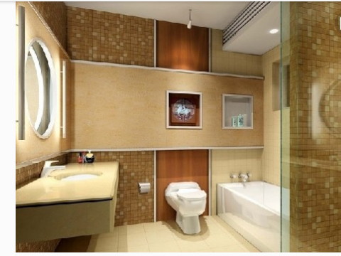 衛生間擺設風水大全