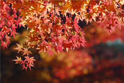 一進門看到飲水機好嗎 飲水機怎麼放好