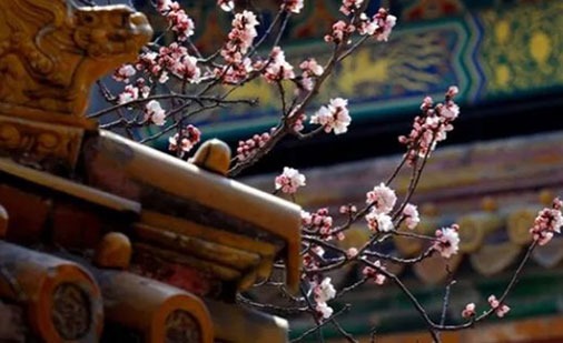 越來越漂亮的時辰女 這三個時辰生的都是美女