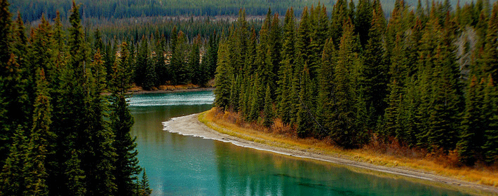 家居風水:教你如何聚財提運