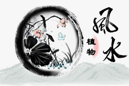 辟邪花卉 鎮宅又聚財的花