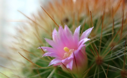 住房盡量避開這些，這樣的房子不聚財！