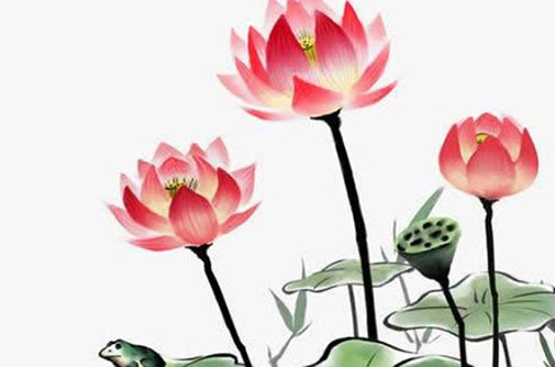 222車牌是豹子號好嗎 風水大吉的車牌靚號