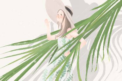 適合老闆辦公室的綠植 提升財運的植物