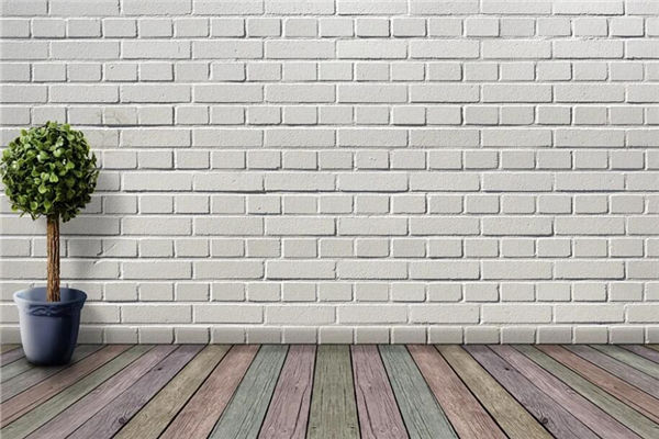 住宅適合擺放什麼風水植物