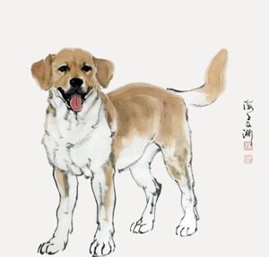 把自來狗趕走的預兆 哪些是好運預兆