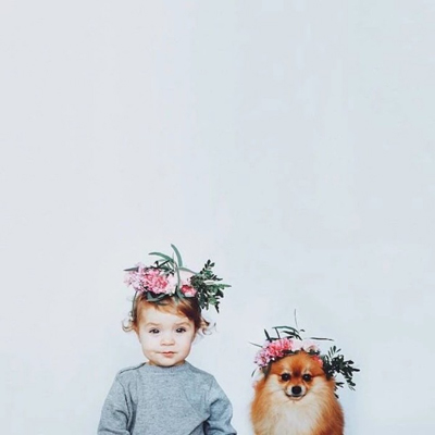 從風水看你家適合養貓狗嗎？