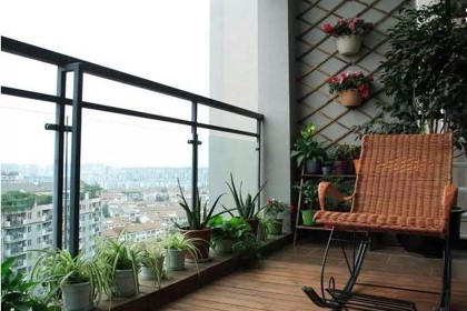 有野貓來家窗檯好嗎 家庭關係變和諧