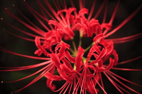 家裡大難前的預兆 家裡要發生大事了