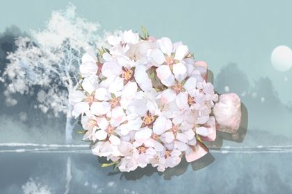 家裡什麼風水影響婚姻 影響感情的風水