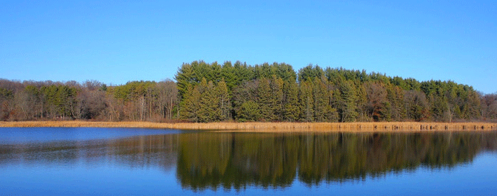 辦公室招財風水擺件大全