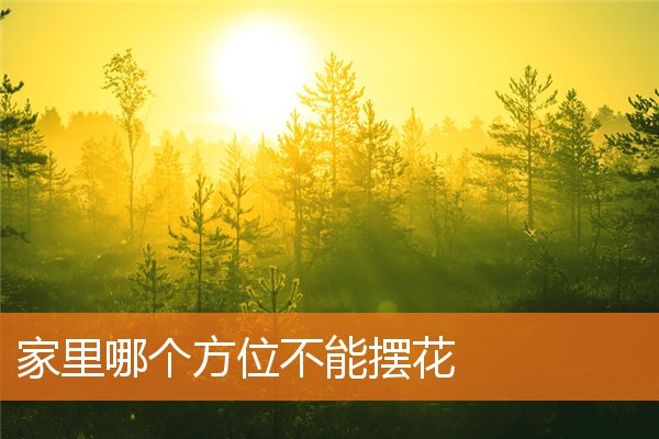 家裡哪個方位不能擺花