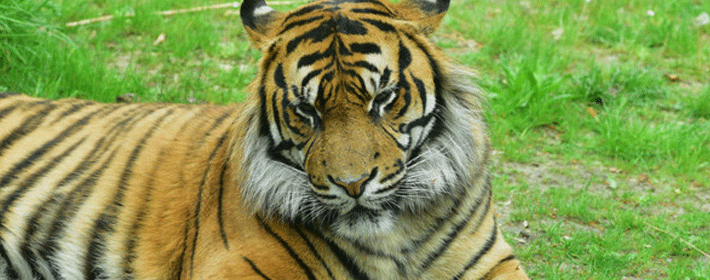 揭秘什麼樣的家居風水影響健康?