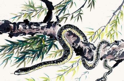 無災無難富貴吉祥 有蛇盤踞的房子竟有這種意頭