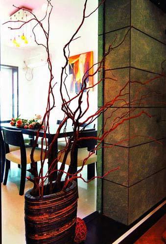 進門風水玄關效果