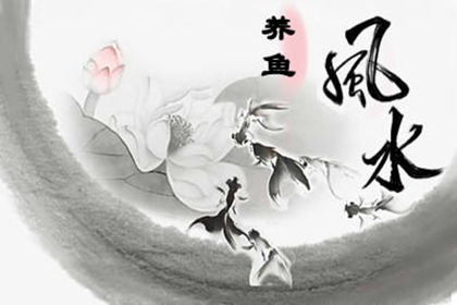 客廳魚缸怎麼擺放旺財 魚有什麼講究