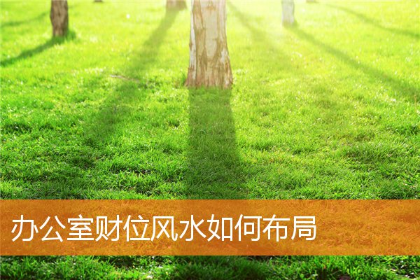 辦公室財位風水如何布局